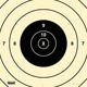 SRC - 200 Yard High Power Rifle Target Center, (10 pack) Official NRA