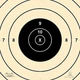 Official NRA SR-C [SRC] 200-Yard Target Centers [24" x 24"] -- RAIN PROOF (20)